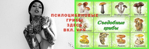 крисы Бородино