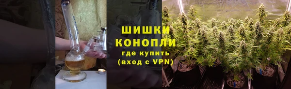 крисы Бородино