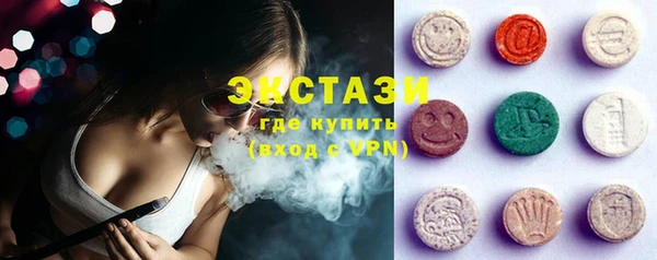 крисы Бородино