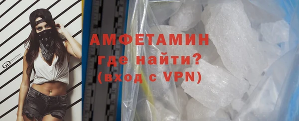 крисы Бородино