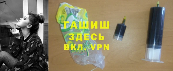 крисы Бородино