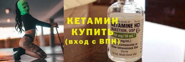 крисы Бородино