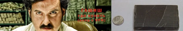 крисы Бородино