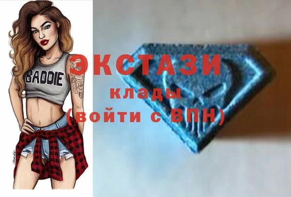 крисы Бородино